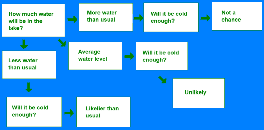 This is a tragedy! How could my MS Paint decision tree flowchart not load after I yearned so hard, drew so ardently?! Now you, poor reader, will never see eye-opening questions like "How much water will be in the lake?" or "Will it be cold enough?" Oh, the heartbreak...